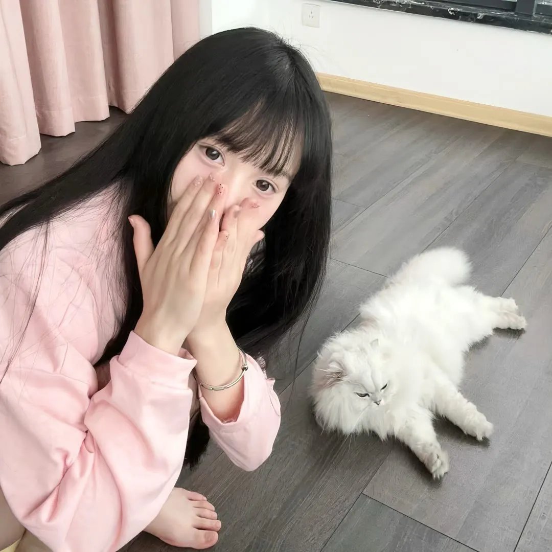 愤怒的牦牛