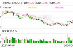 金杯电工:拟向全体股东每10股派现金红利2.00元