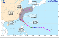 “康妮”或在浙江温岭登陆，江浙沪等地有大暴雨，京津冀局地有强浓雾